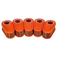 Levegőszűrő betét Briggs  114p02-0113-f1 (5x795066) 4240