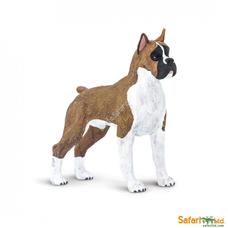 SAFARI Boxer - Bokszer kutya