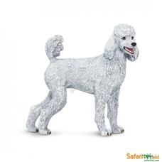 SAFARI Poodle - Uszkár