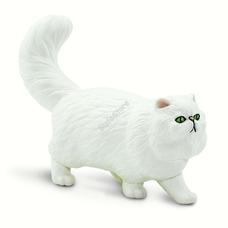SAFARI Perzsa macska - Persian cat