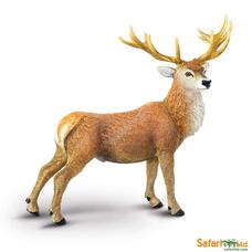 SAFARI Vörös bak szarvas - Red Deer Buck 