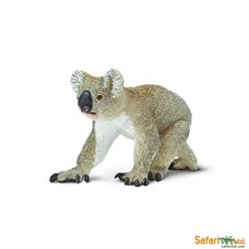 SAFARI Koala