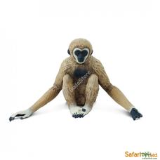 SAFARI Gibbon
