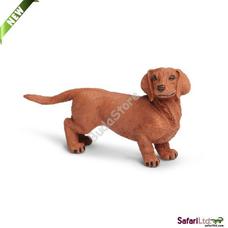 SAFARI Tacskó - Dachshund