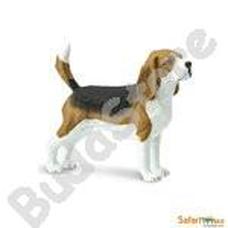 SAFARI Beagle