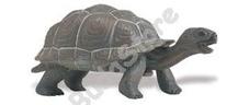SAFARI Tortoise Baby - bébi teknősbéka