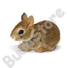 SAFARI Eastern Cottontail Rabbit Baby - bébi nyuszi