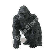 SAFARI Hím gorilla - Lowland Gorilla
