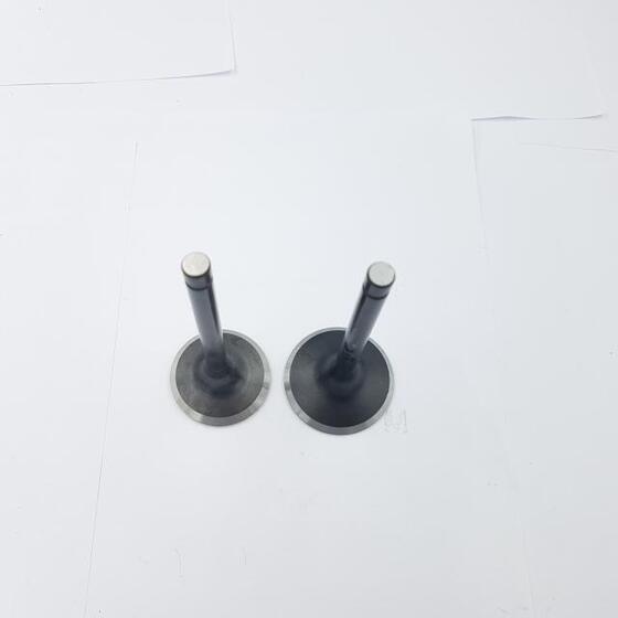 Szelep garnitúra Loncin 1P92F-1 500550039-T381