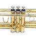 Trombita HOP1001809