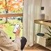 Gardena smart Pipeline Öntözőkomputer - 19050-20