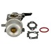 Karburátor komplett Briggs 12Q502 796608