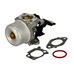 Karburátor komplett Briggs 12Q502 796608