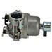 Karburátor komplett Briggs NIKKI, 21B807, Power Built, Intek 593433