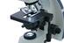 Levenhuk MED D40T digitális trinokuláris mikroszkóp 74006